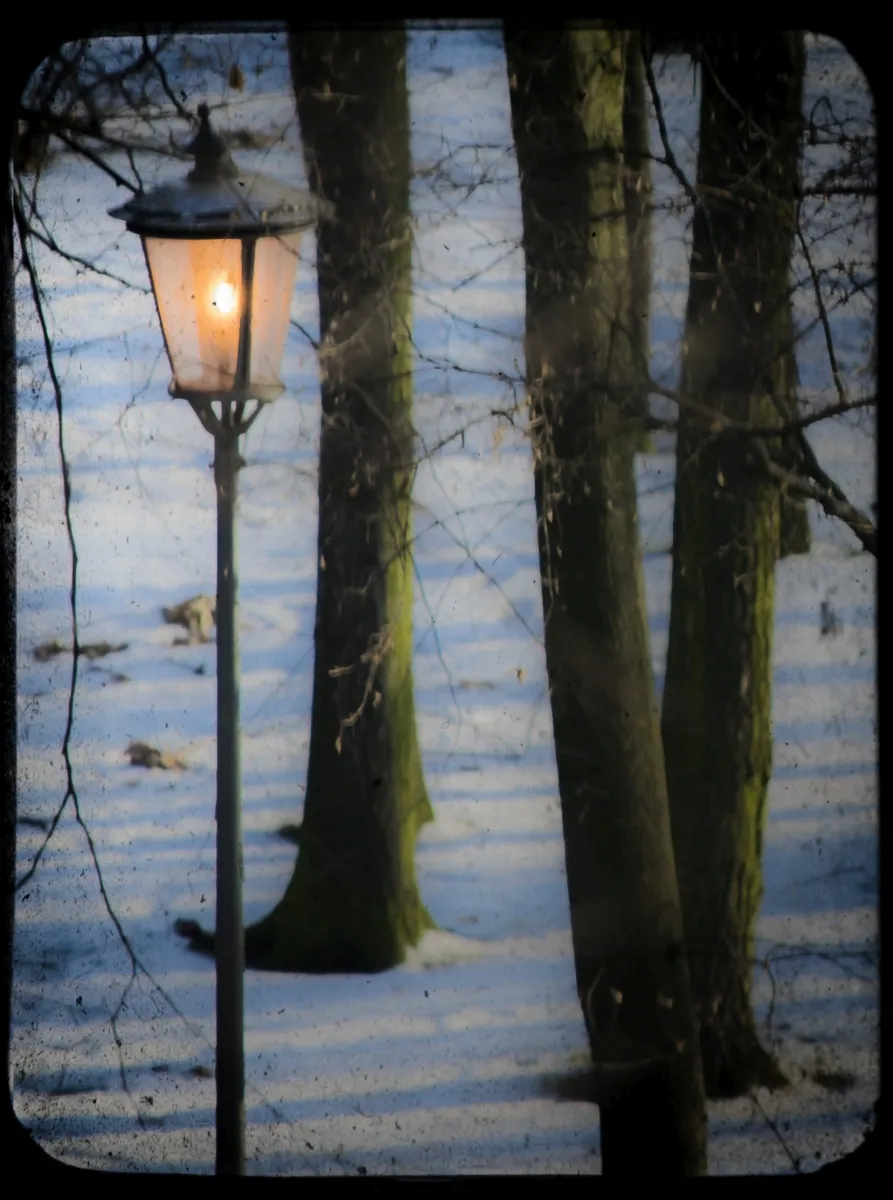 Old streetlamp among tree trunks in snowy woods